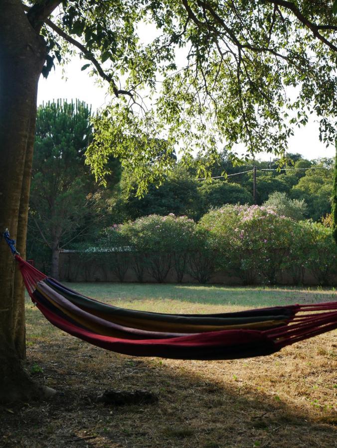 Gites De La Massane Argelès-sur-Mer Zewnętrze zdjęcie
