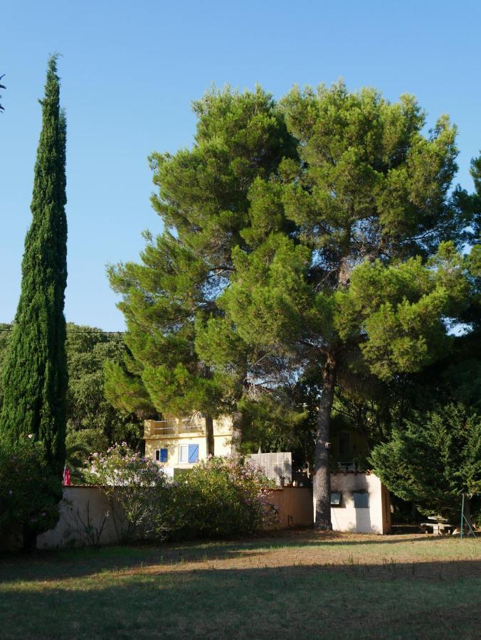Gites De La Massane Argelès-sur-Mer Zewnętrze zdjęcie