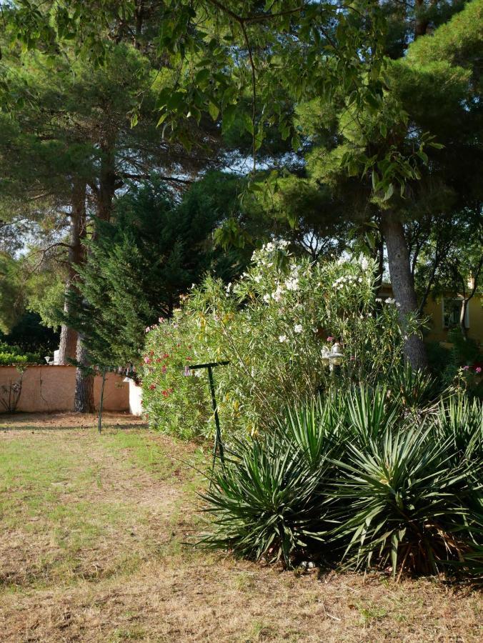 Gites De La Massane Argelès-sur-Mer Zewnętrze zdjęcie
