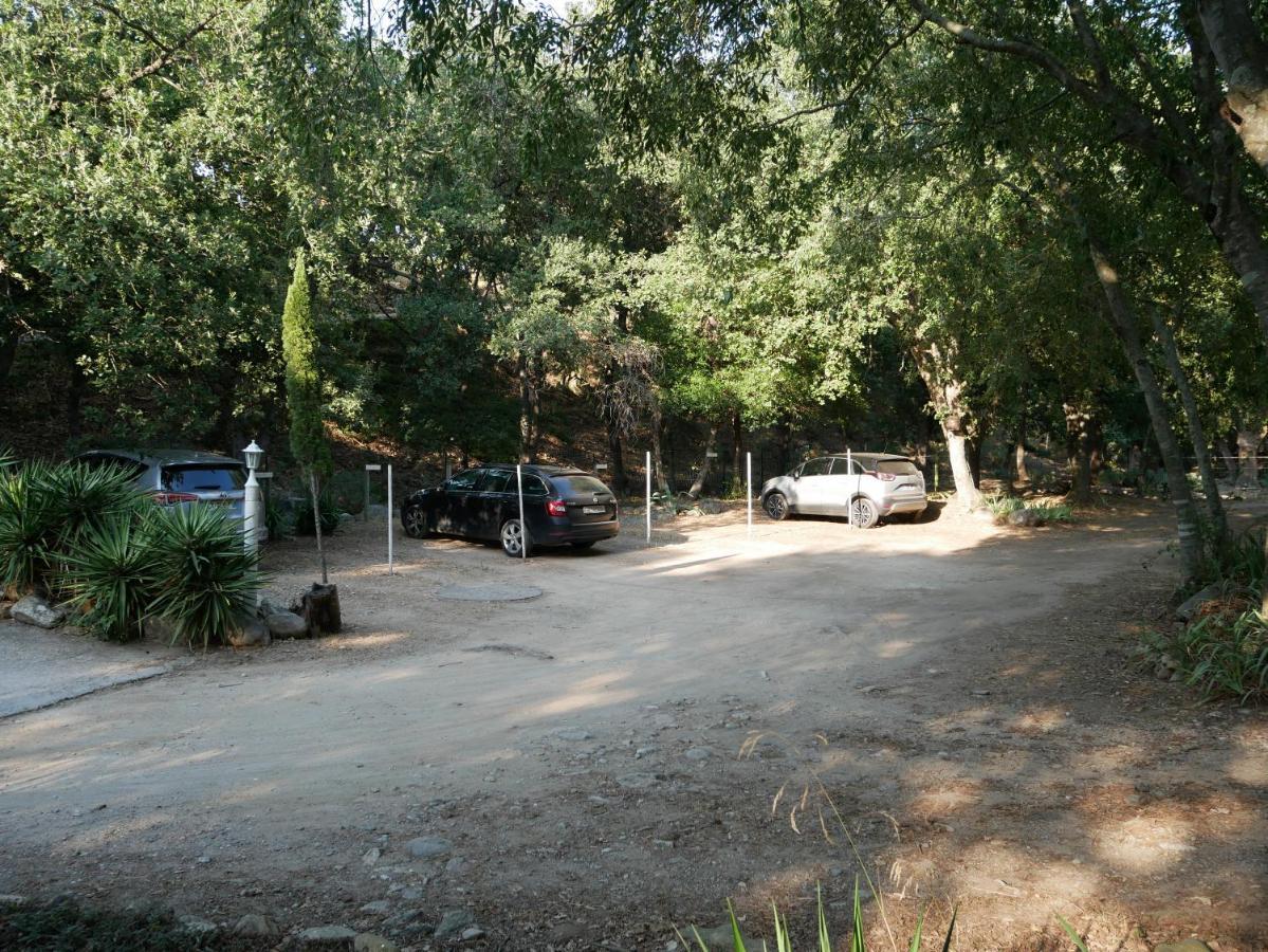 Gites De La Massane Argelès-sur-Mer Zewnętrze zdjęcie