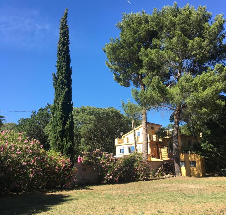 Gites De La Massane Argelès-sur-Mer Zewnętrze zdjęcie