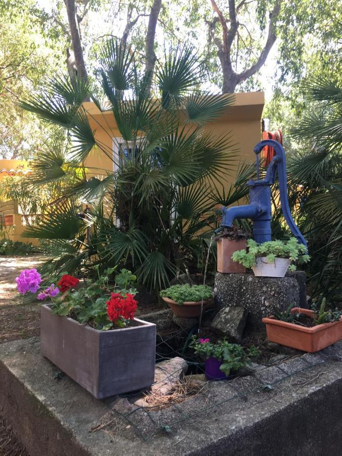 Gites De La Massane Argelès-sur-Mer Zewnętrze zdjęcie