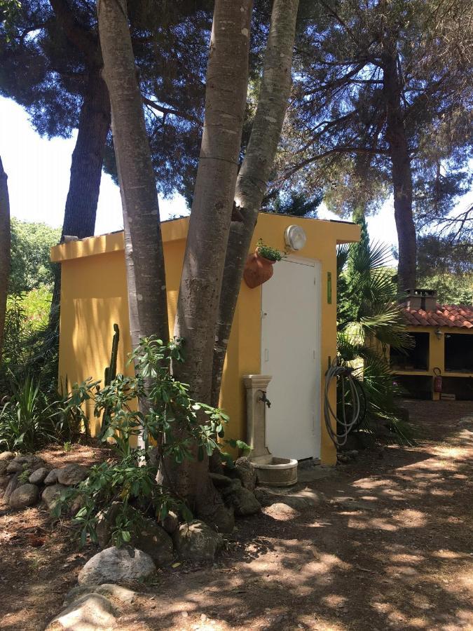 Gites De La Massane Argelès-sur-Mer Zewnętrze zdjęcie
