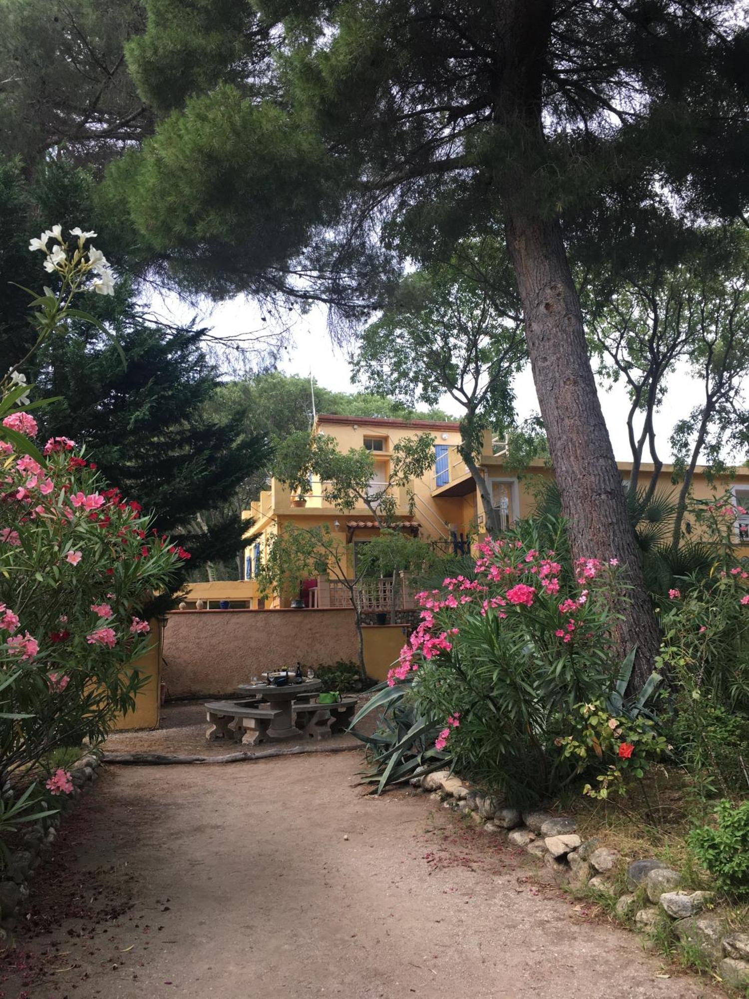 Gites De La Massane Argelès-sur-Mer Zewnętrze zdjęcie
