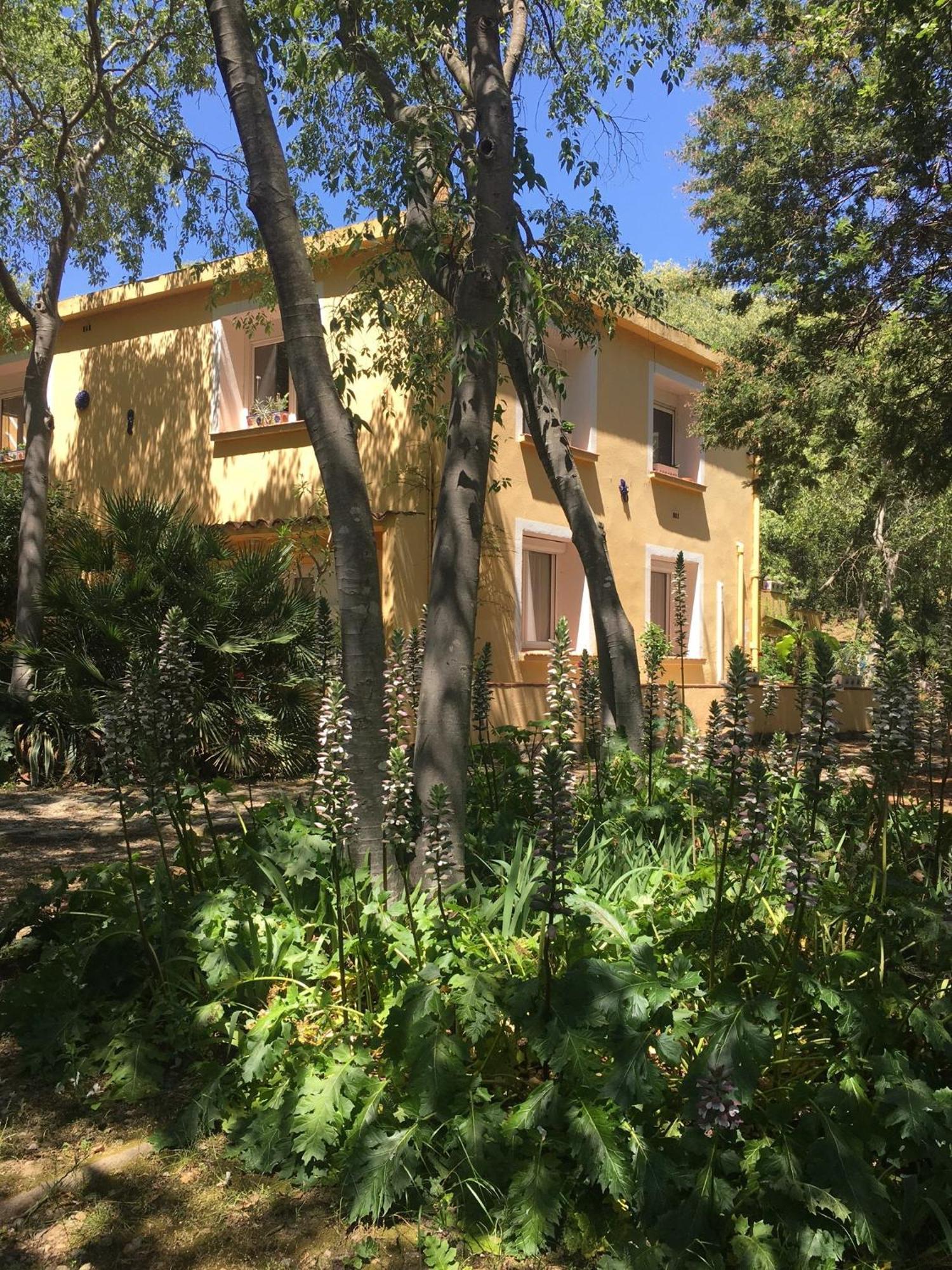 Gites De La Massane Argelès-sur-Mer Zewnętrze zdjęcie